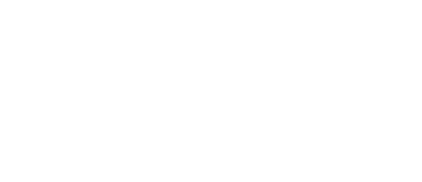 Traveljin